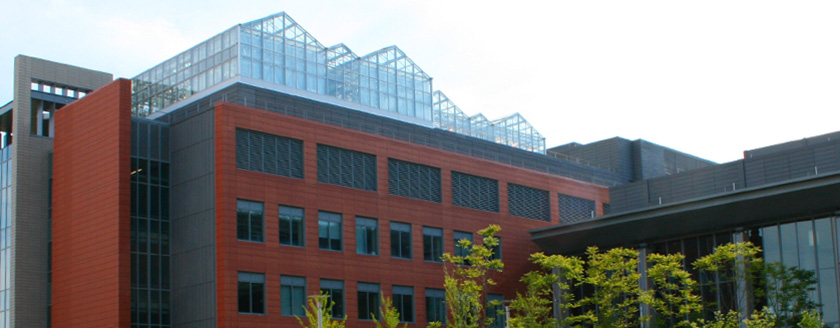 Rooftop Greenhouses