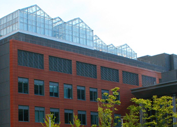 Rooftop Greenhouses